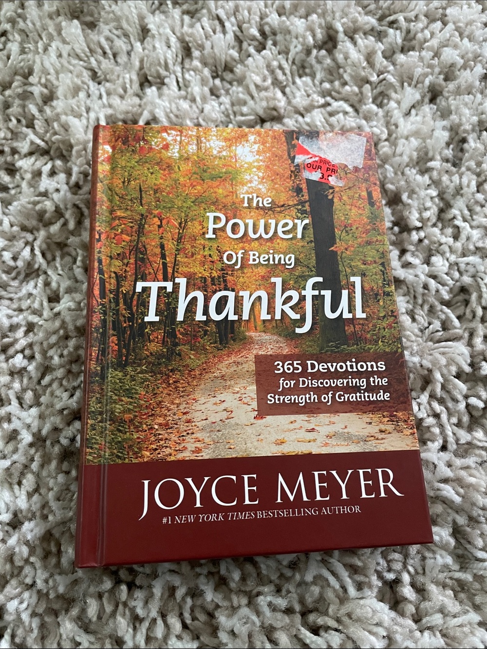 Joyce Meyer "The Power of Being Thankful" - Autumn Cover